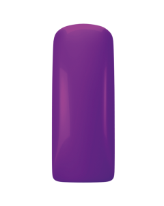  Magnetic Gelpolish  Lady Violet 