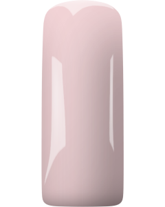 Magnetic Gelpolish Stylish Nude