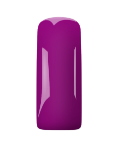 Magnetic Passionate Plum
