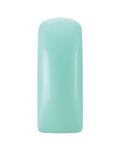 Magnetic Pastel Blushes Minty