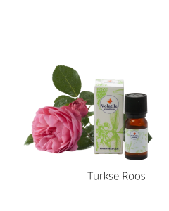 Volatile Roos Turkije