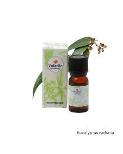 Volatile Eucalyptus Radiata
