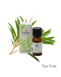 Volatile Tea Tree
