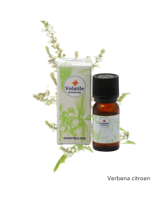 Volatile Verbena citroen