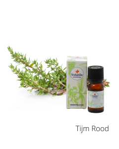 Volatile Tijm rood