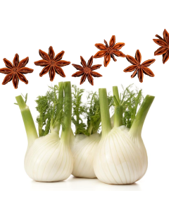 Energizing Anijs & Venkel Gel Pakking 500 ml