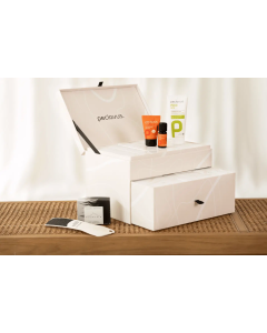 peclavus Adventskalender 2024