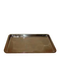 Instrumentenschaal RVS Groot