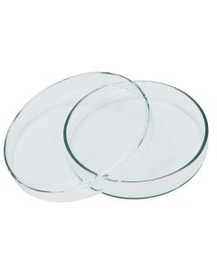 Petrischaaltje Groot - 10 cm