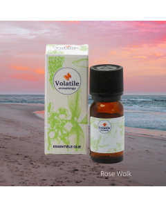 Volatile Afrodiserende Rose Wolk 