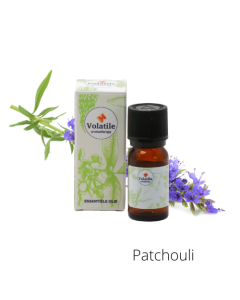 Volatile Patchouli