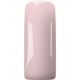 Magnetic Gelpolish Stylish Nude