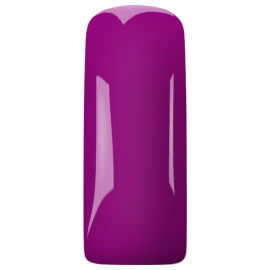 Magnetic Passionate Plum