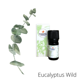 Volatile Eucalyptus, Wild 