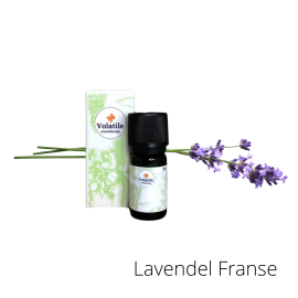 Volatile Lavendel Franse