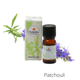 Volatile Patchouli
