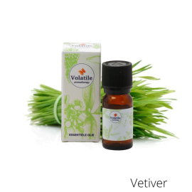 Volatile Vetiver