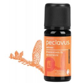 Etherische Olie Zilverspar 10ml | Peclavus Wellness