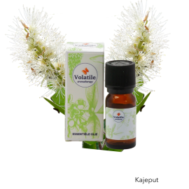 Volatile Kajeput