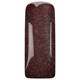 Magnetic Gelpolish Aristocratic