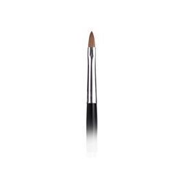 Magnetic Click On Oval 4 Brush