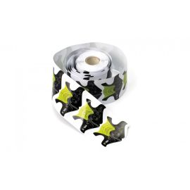 Magnetic Salon Nailforms 250 st