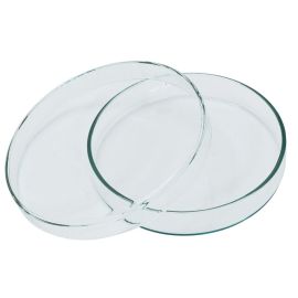 Petrischaaltje Klein - 6 cm